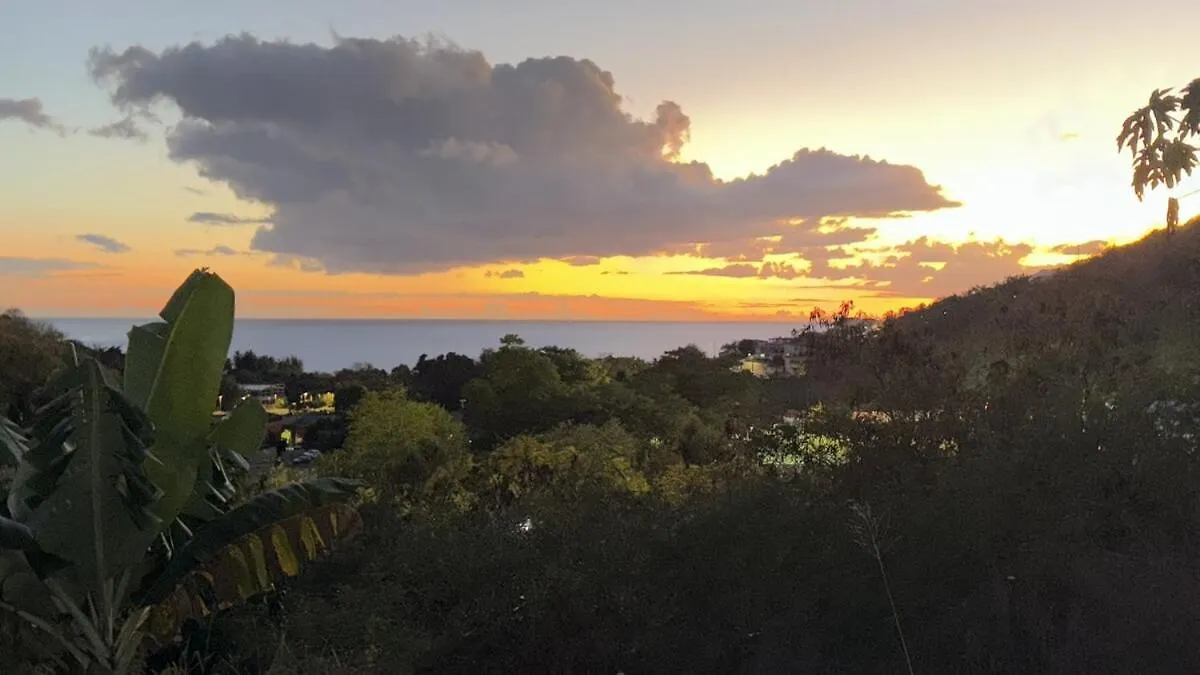 Appartamento T2 Rez De Jardin Vue Mer Le Carbet Martinica