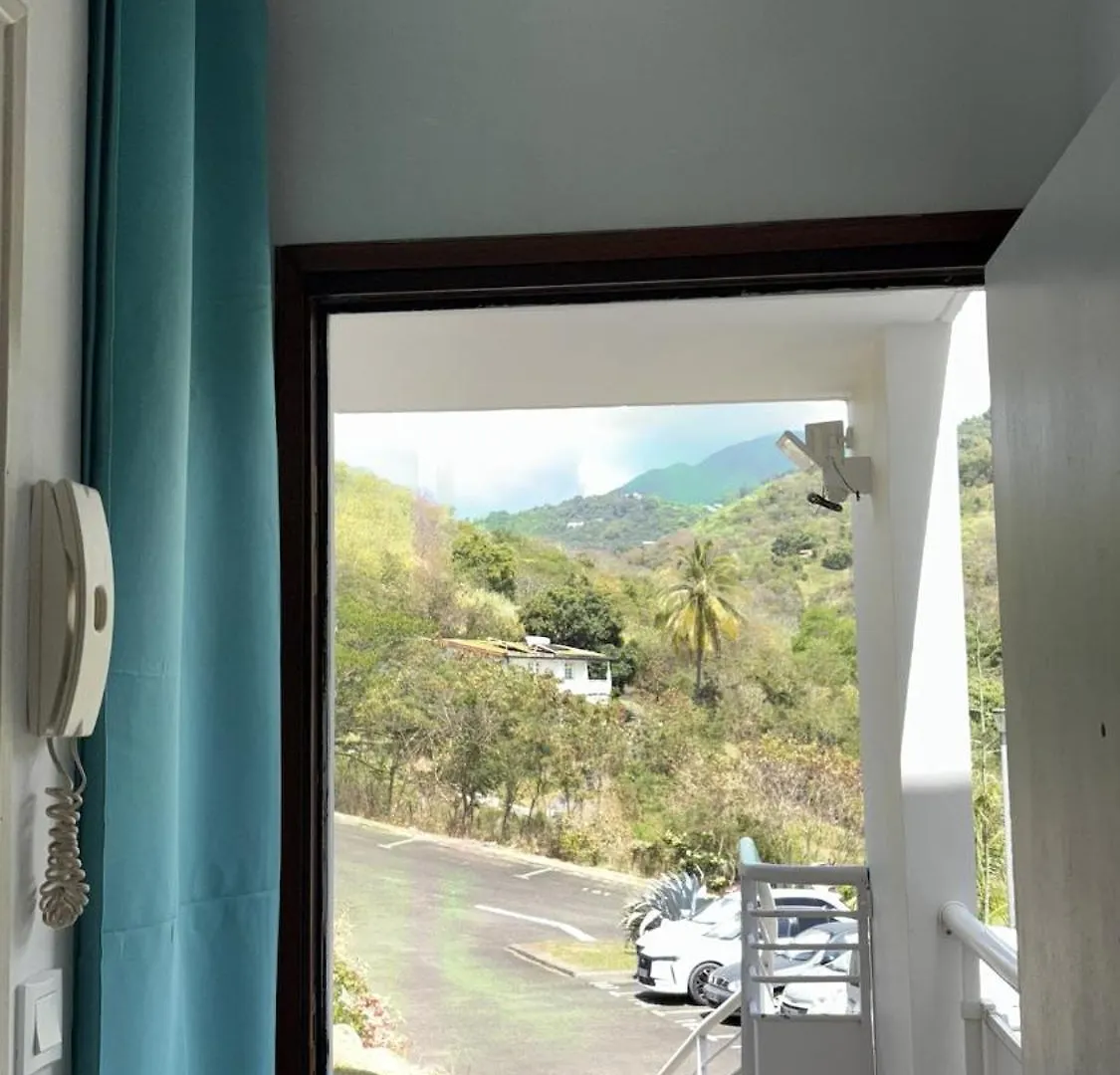 T2 Rez De Jardin Vue Mer Le Carbet