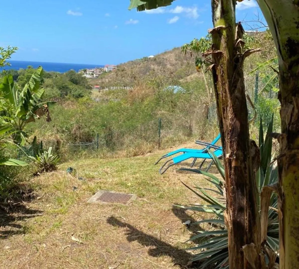 Lejlighed T2 Rez De Jardin Vue Mer Le Carbet